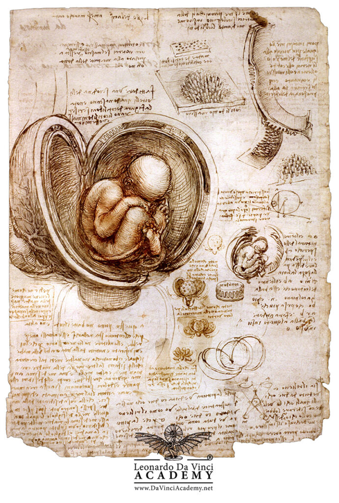 This image has an empty alt attribute; its file name is Leonardo-da-Vincis-Manuscripts-and-the-Influence-of-Ancient-Arabic-Science-Mario-taddei-Abu-Dhabi-Istituto-di-Cultura-Leonardo-anatomy-690x1024.jpg